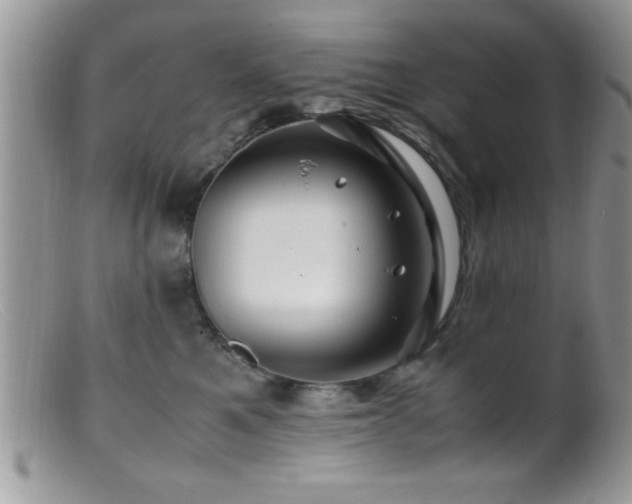 X0000099510521200805151502