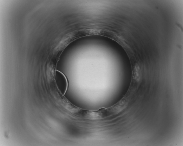 X0000099510522200805151502