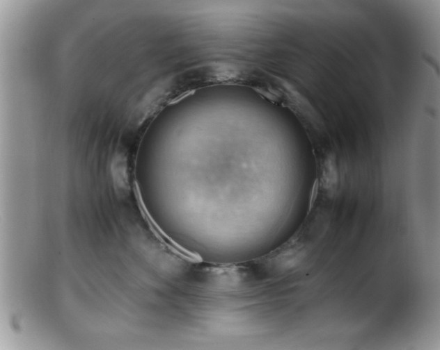 X0000099510524200805151502