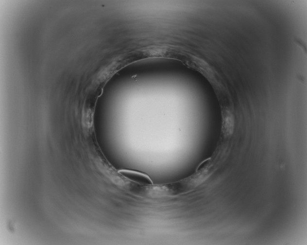 X0000099510525200805151502