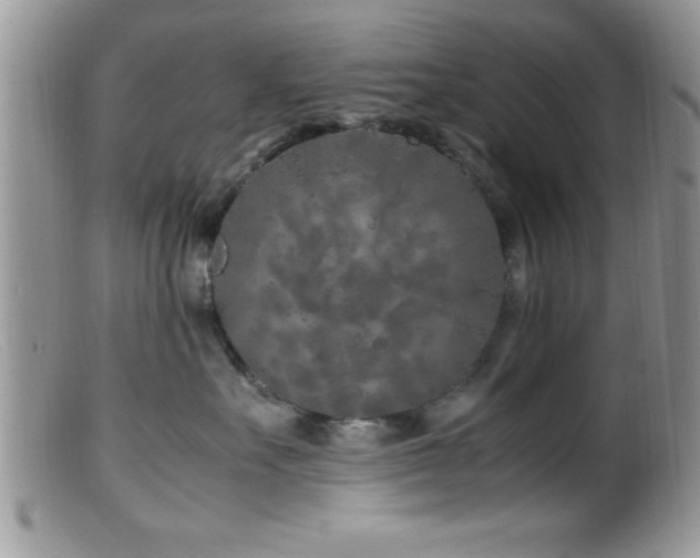 X0000099510527200805151502