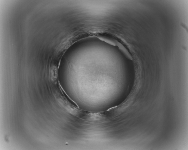 X0000099510528200805151502