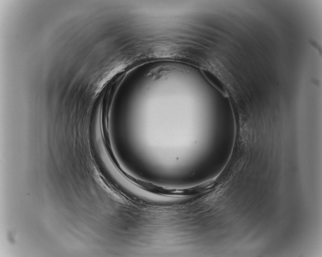 X0000099510530200805151501