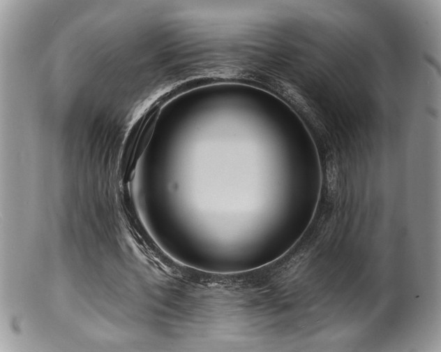 X0000099510532200805151501
