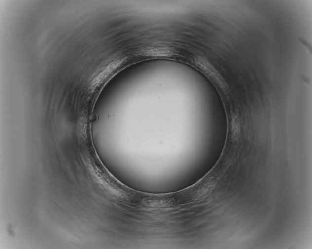 X0000099510533200805151501