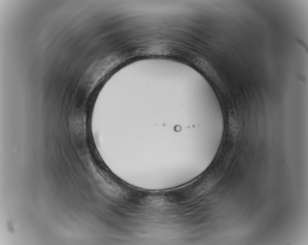 X0000099510534200805151501