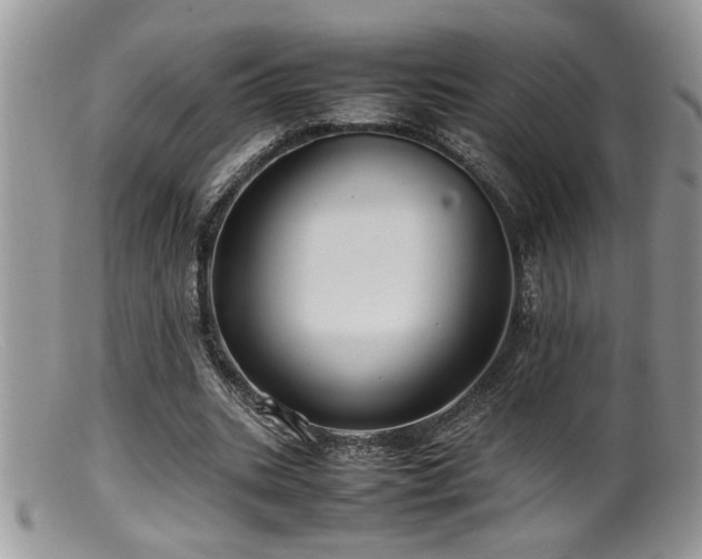 X0000099510535200805151501
