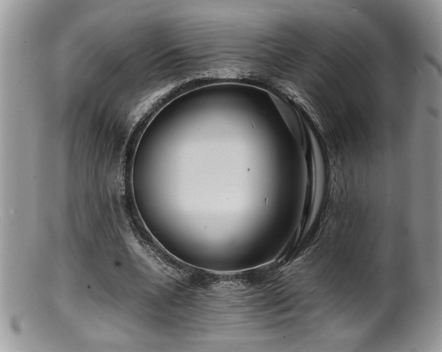 X0000099510536200805151501