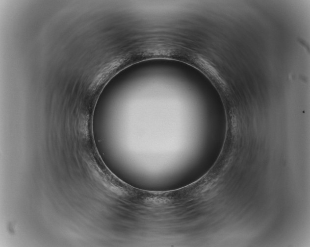 X0000099510537200805151501