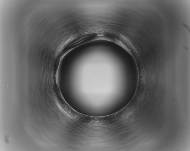 X0000099510538200805151501