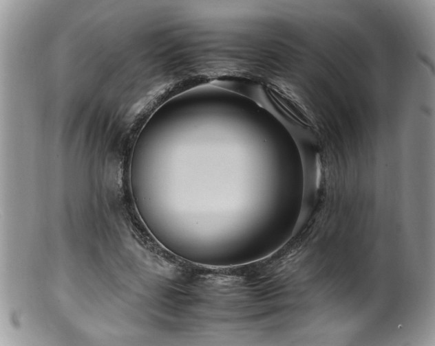 X0000099510539200805151501