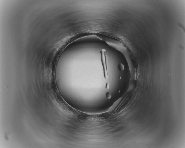 X0000099510540200805151501