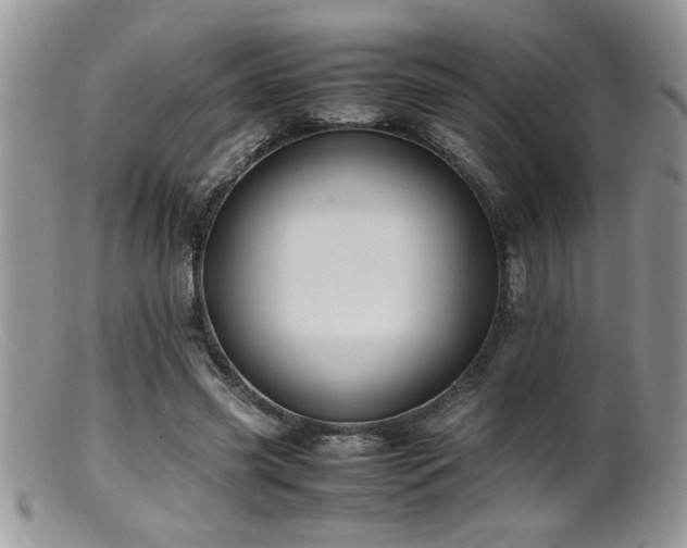 X0000099510541200805151501