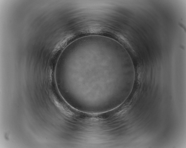 X0000099510542200805151501