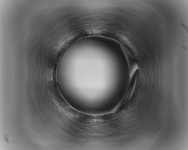 X0000099510543200805151501
