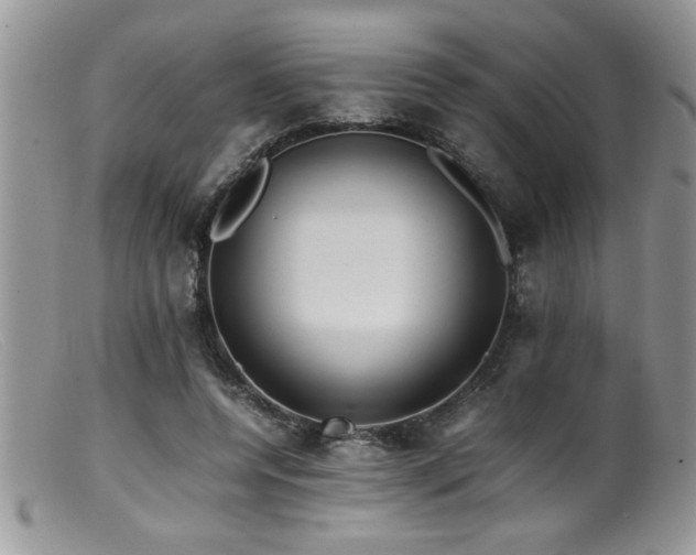 X0000099510544200805151501