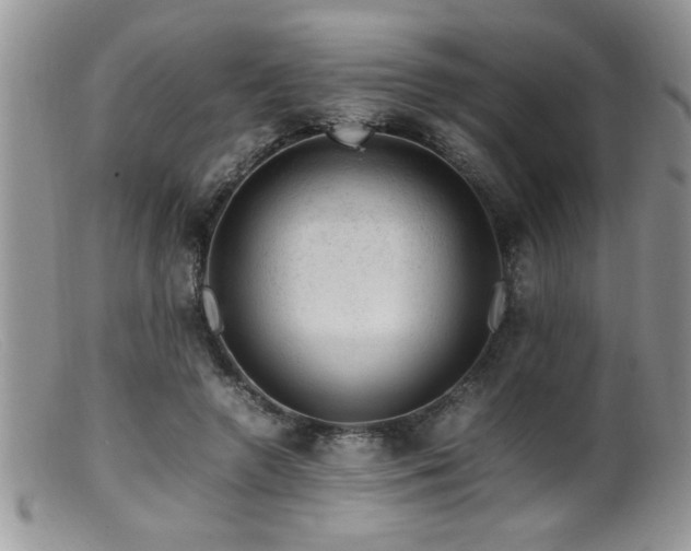 X0000099510546200805151501