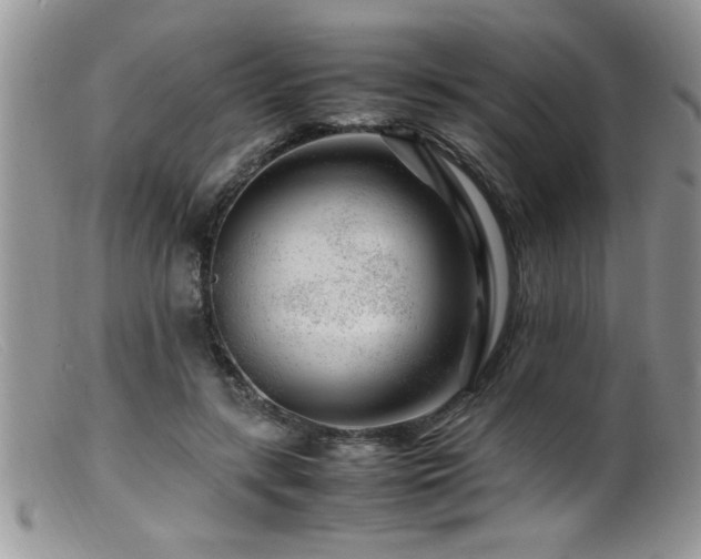 X0000099510547200805151502