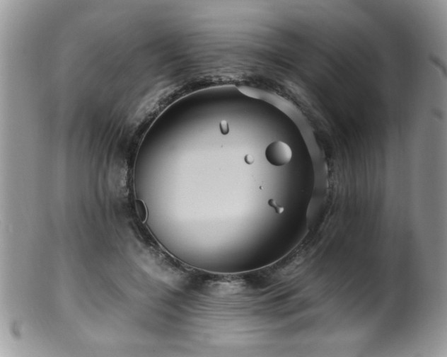 X0000099510548200805151502