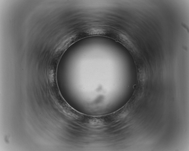 X0000099510549200805151502