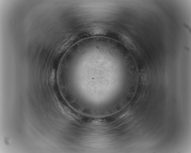 X0000099510550200805151502