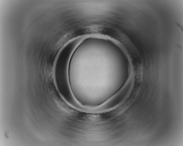 X0000099510552200805151502