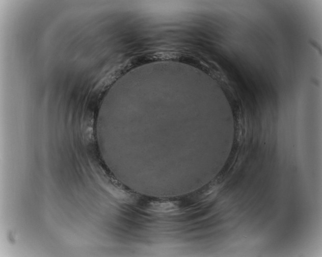 X0000099510553200805151502