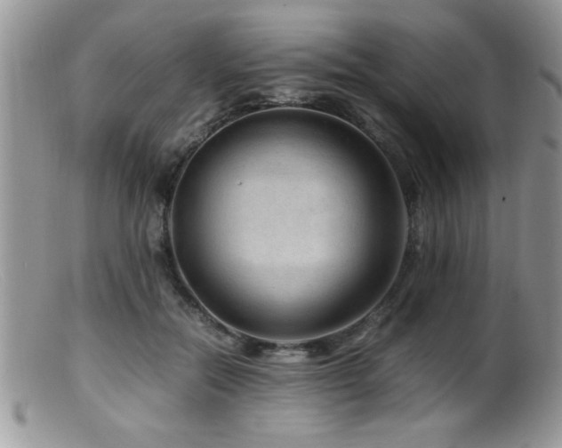 X0000099510554200805151502
