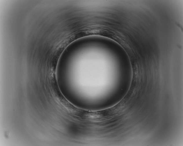 X0000099510555200805151502