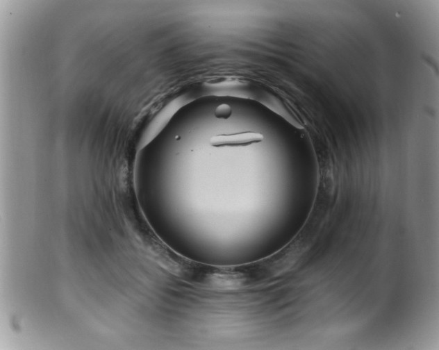 X0000099510556200805151502