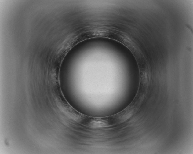 X0000099510557200805151502