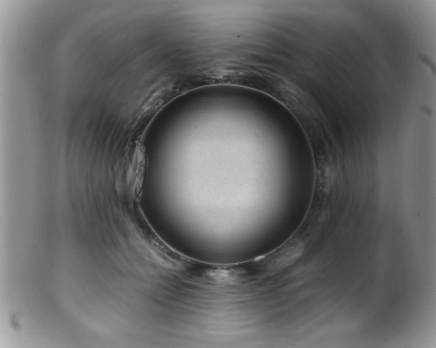 X0000099510558200805151502