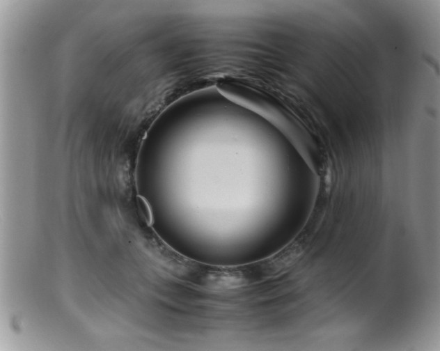 X0000099510559200805151502