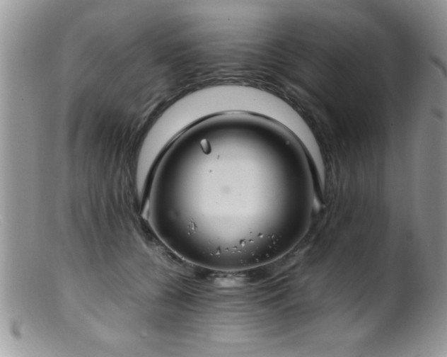 X0000099510560200805151502