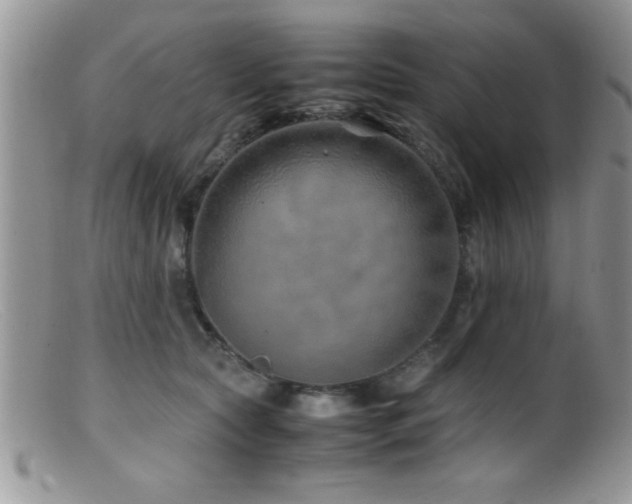 X0000099510561200805151502