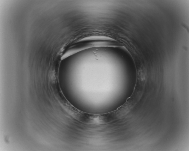 X0000099510564200805151502