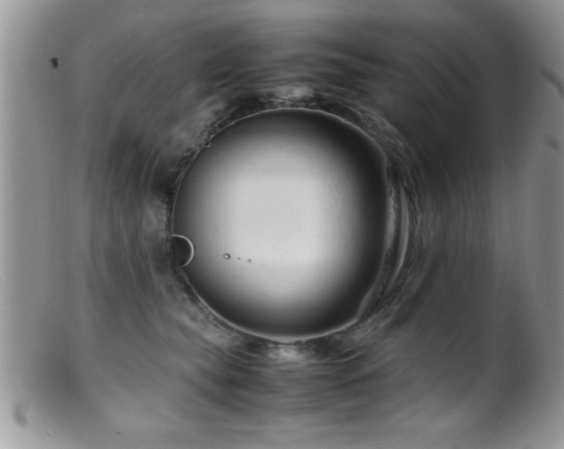 X0000099510565200805151502