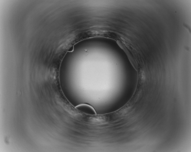 X0000099510567200805151502