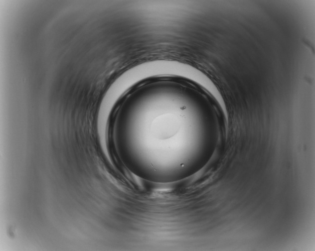 X0000099510568200805151502