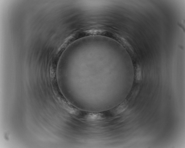 X0000099510569200805151502