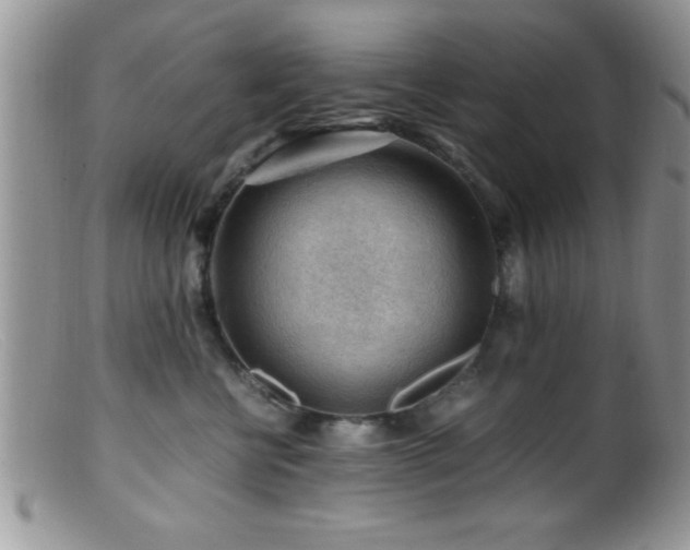X0000099510570200805151502