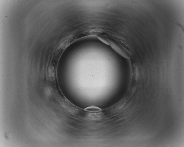X0000099510571200805151502