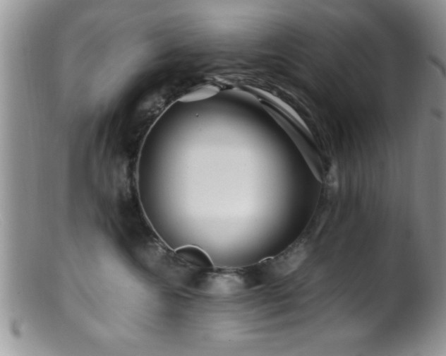 X0000099510572200805151502