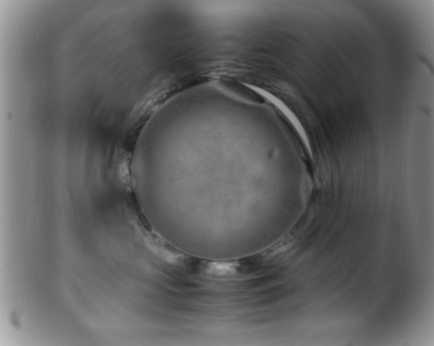 X0000099510573200805151502