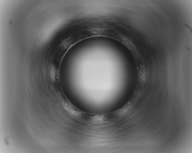 X0000099510574200805151502