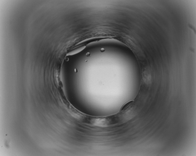 X0000099510575200805151502