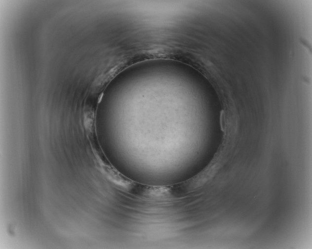 X0000099510576200805151502