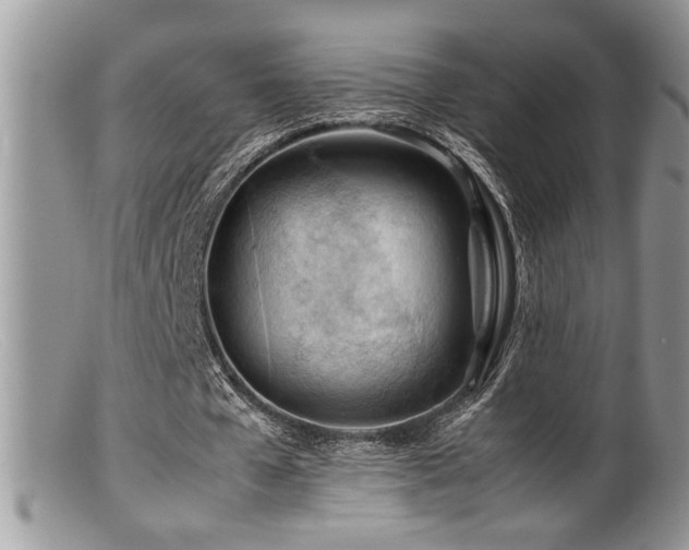 X0000099510577200805151501