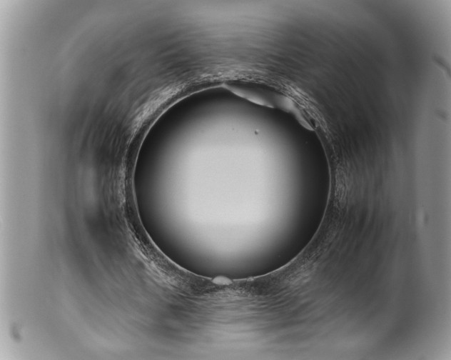 X0000099510578200805151501