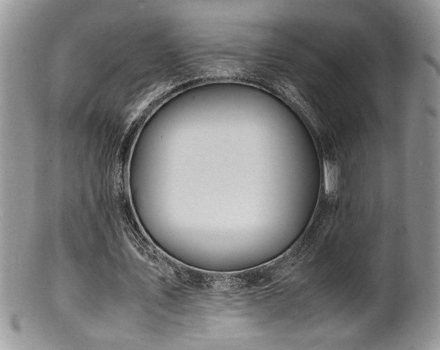 X0000099510579200805151501